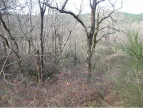 vente Terrain constructible Gagnieres