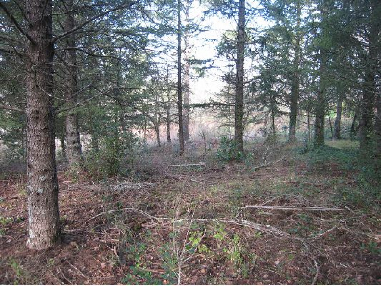 vente Terrain constructible Gagnieres - Photo 1