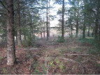 vente Terrain constructible Gagnieres