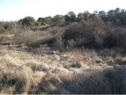 sale Terrain constructible Les Mages