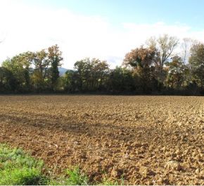 vente Saint Victor De Malcap