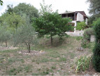 vente Maison individuelle Allegre