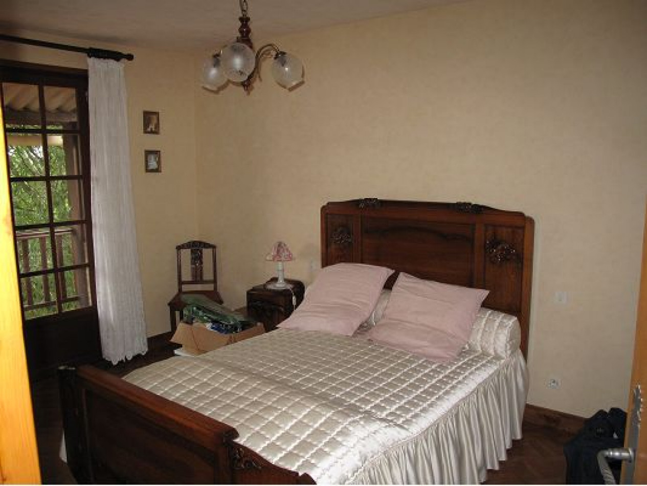 vente Maison individuelle Allegre - Photo 7