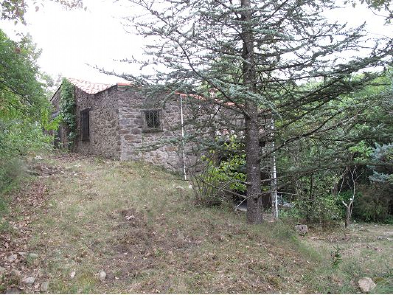 vente Mas Saint Bres - Photo 8