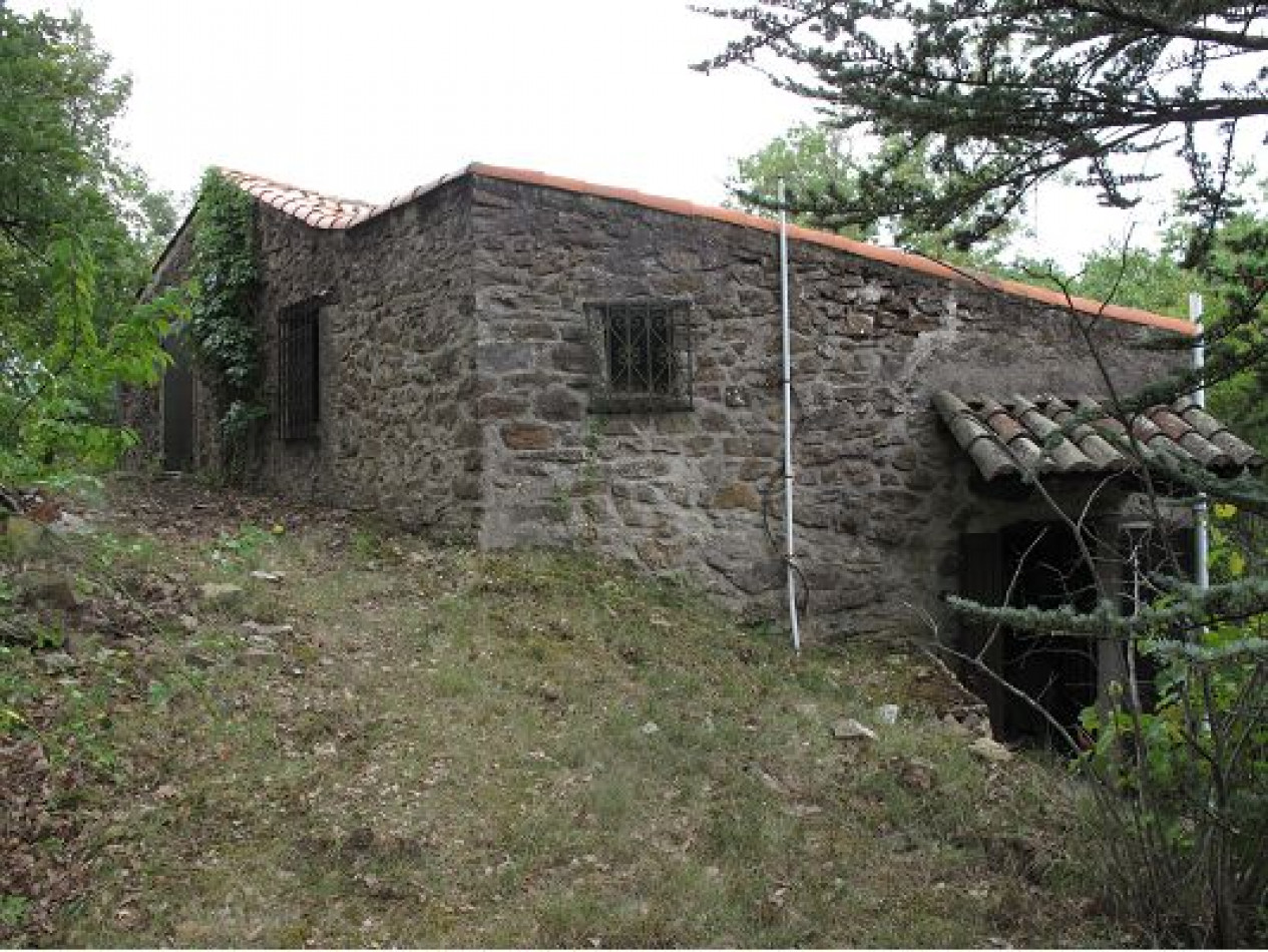 vente Mas Saint Bres - Photo 17
