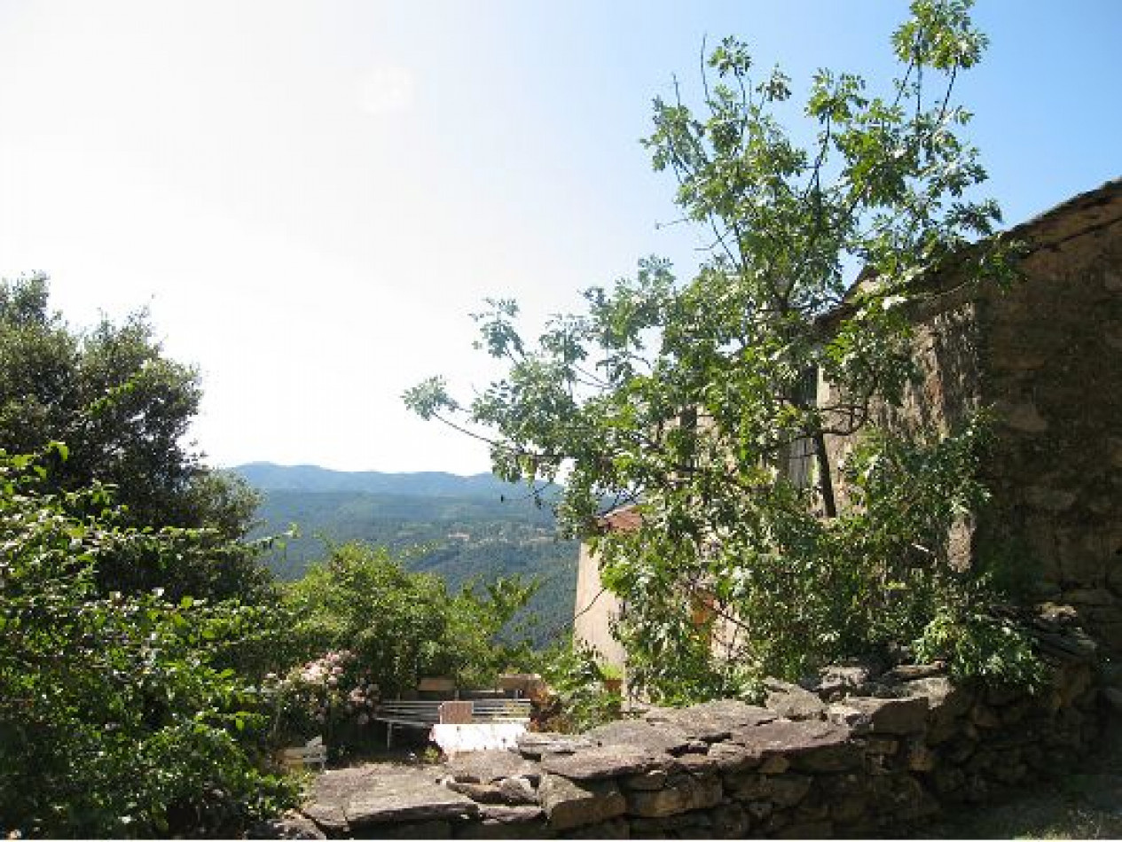 vente Maison en pierre Aujac - Photo 2