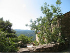 vente Maison en pierre Aujac