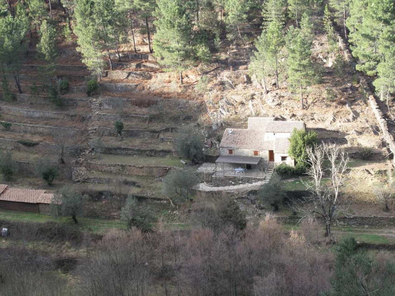 vente Mas Bordezac - Photo 1