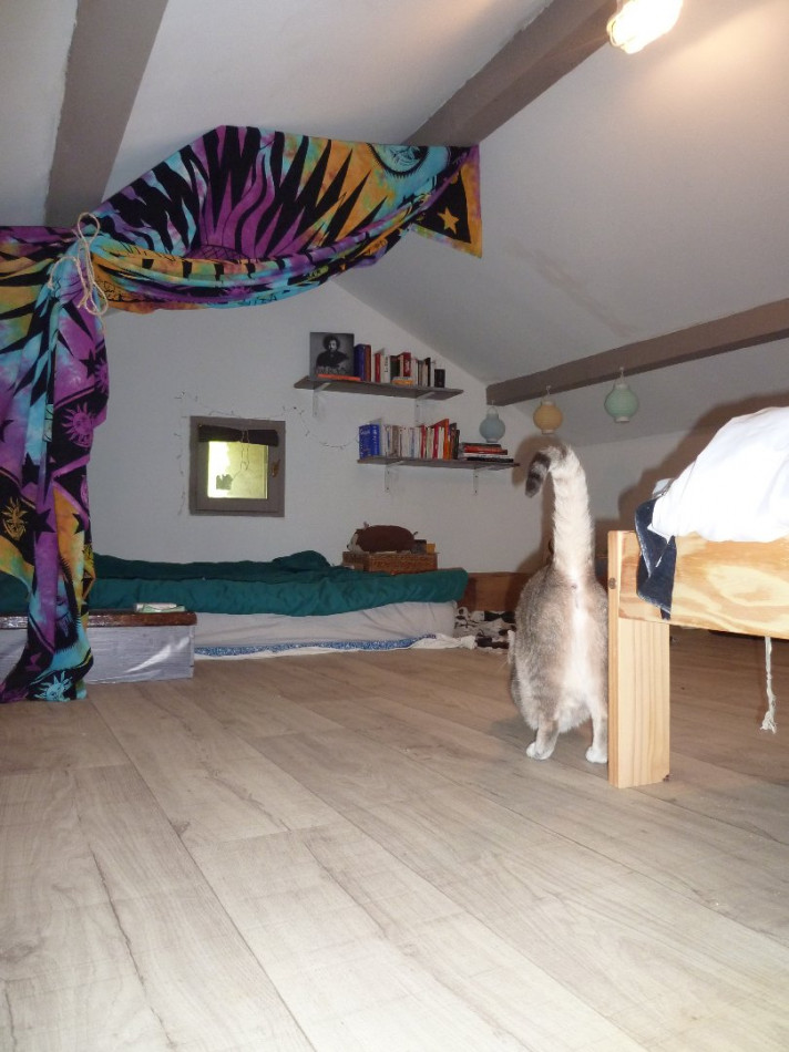 vente Mas Bordezac - Photo 12