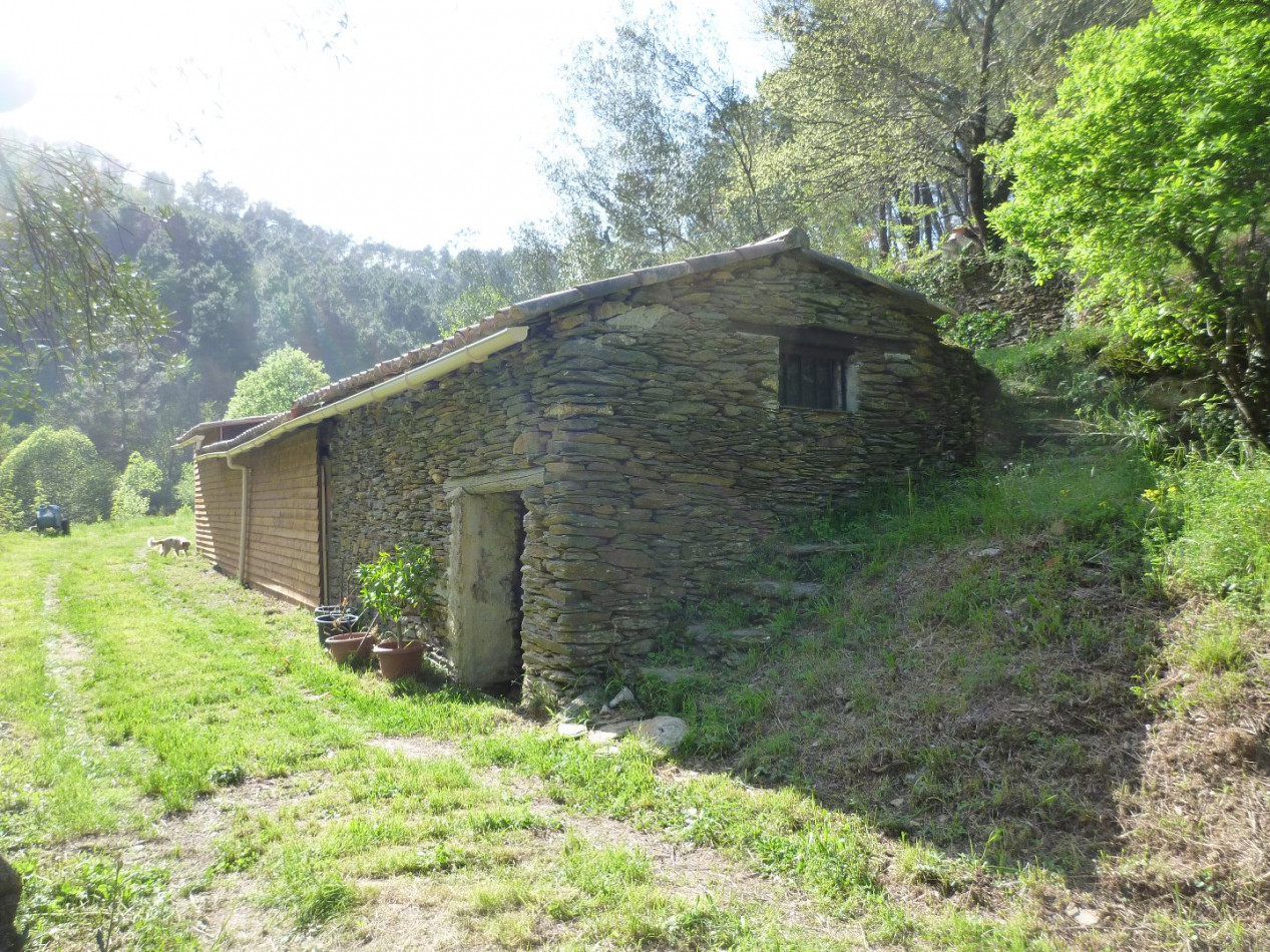 vente Mas Bordezac - Photo 14