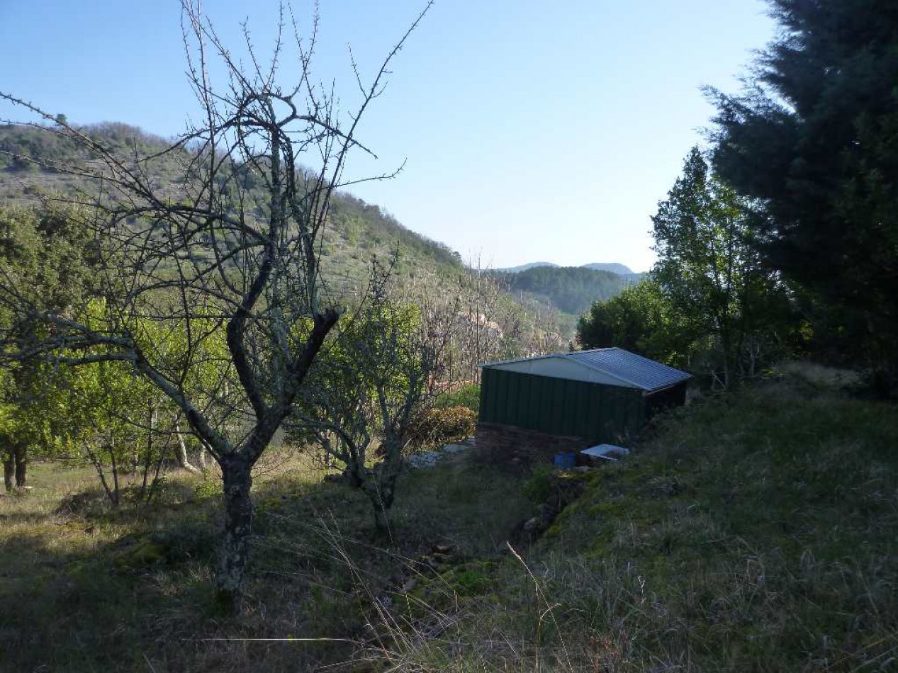 vente Mazet Meyrannes - Photo 10