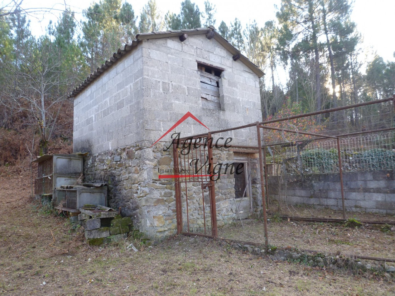 sale Mazet Besseges - Photo 4