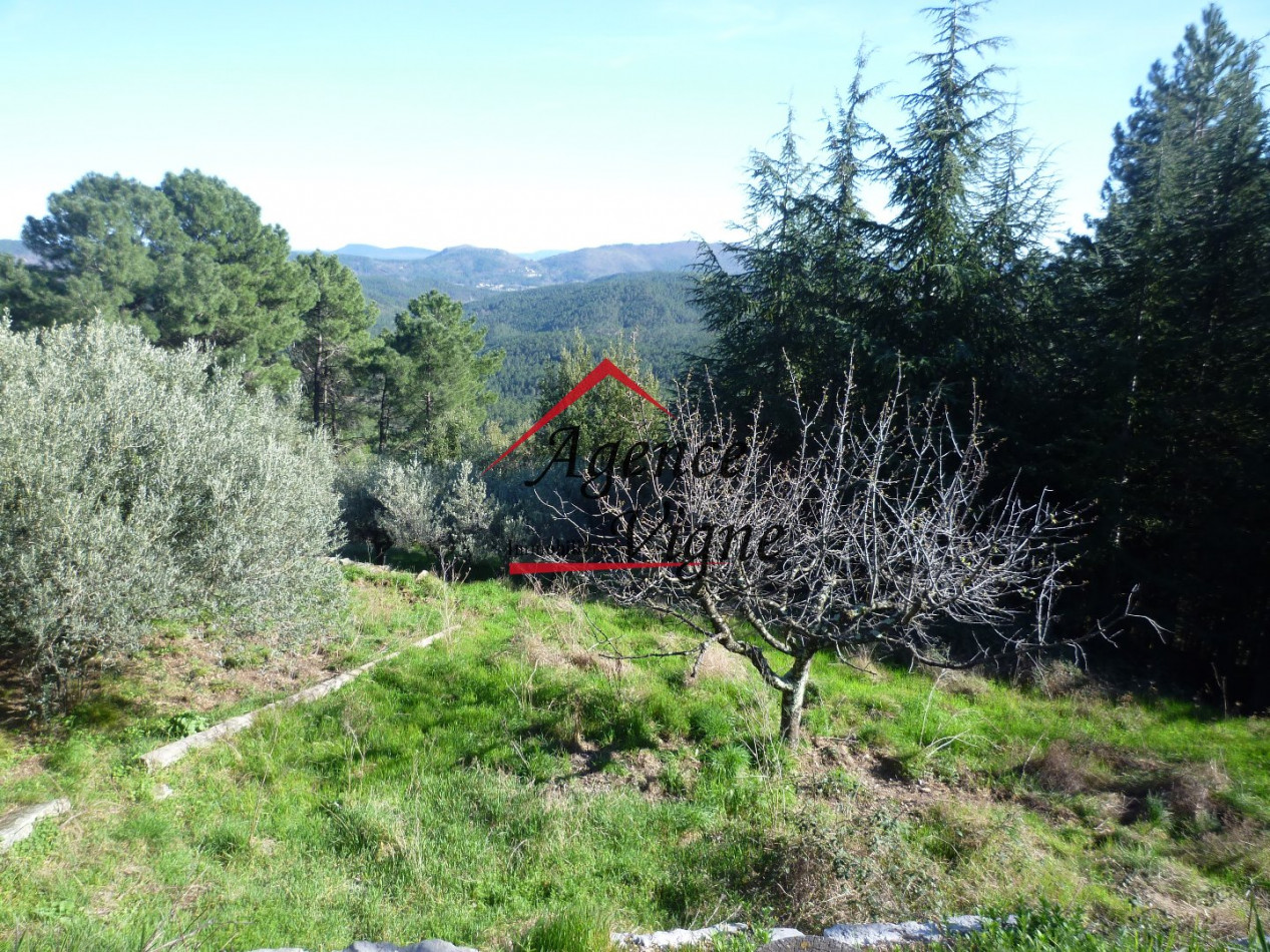 sale Maison de hameau Malbosc - Photo 11