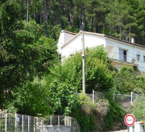A vendre Besseges 30008172 Agence vigne