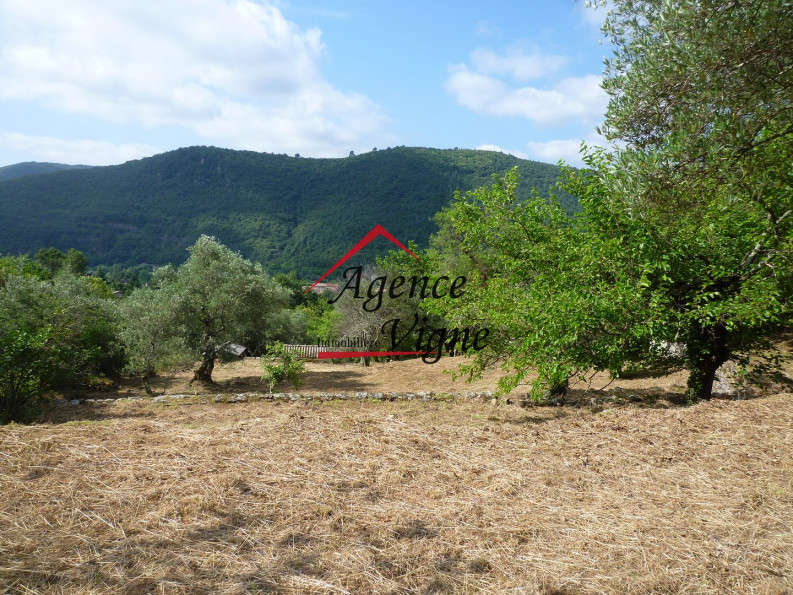 vente Terrain constructible Besseges - Photo 6