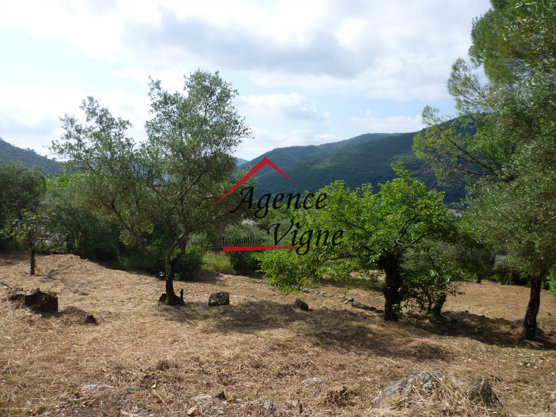 vente Terrain constructible Besseges - Photo 2