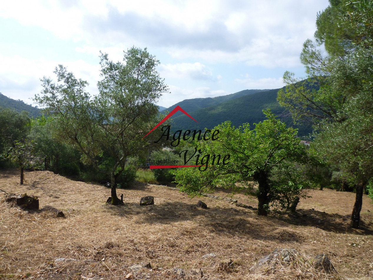 sale Terrain constructible Besseges - Photo 2