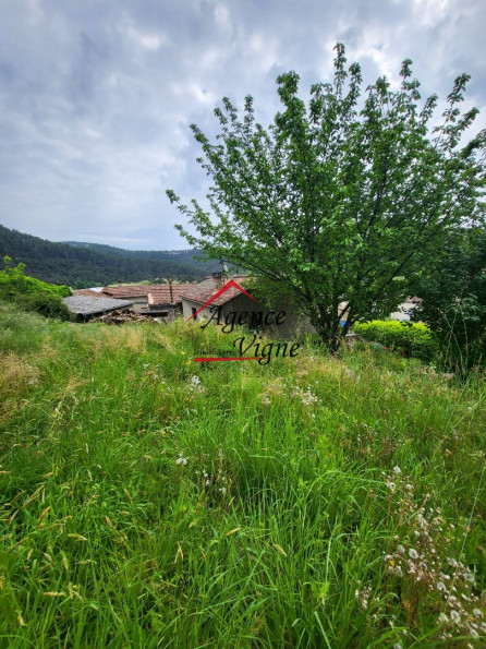 vente Maison de hameau Peyremale - Photo 2