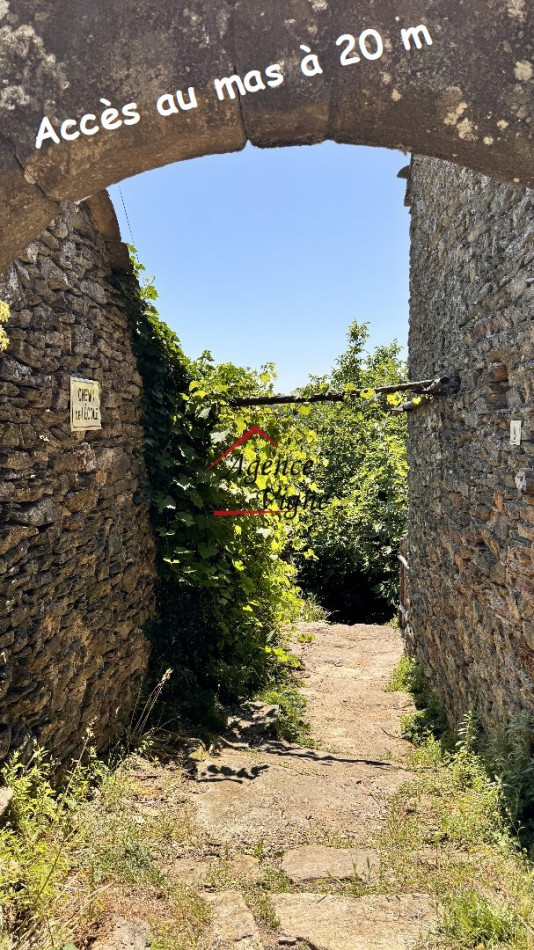 sale  Peyremale - Photo 12