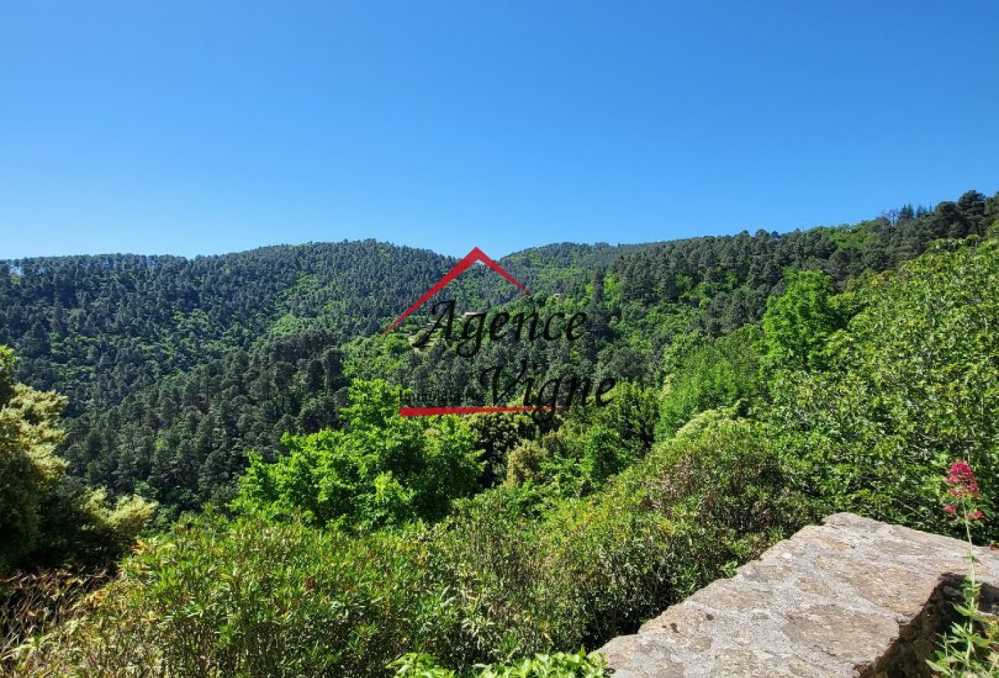 vente Peyremale - Photo 8