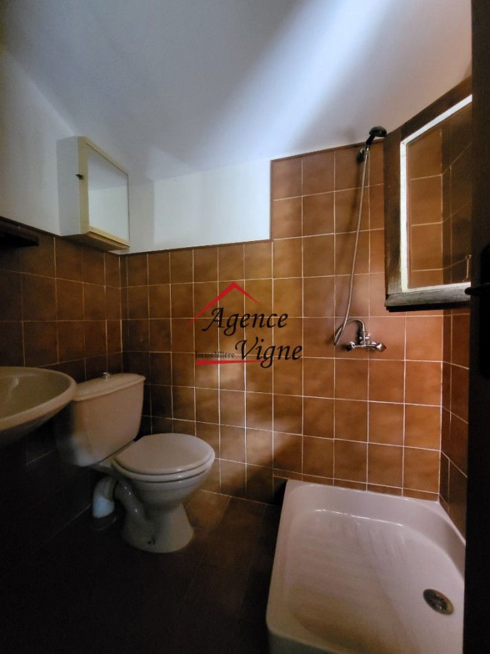 vente Mazet Gagnieres - Photo 10