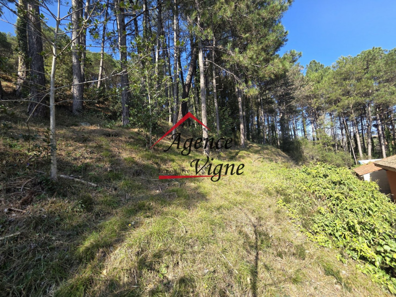 vente Maison individuelle Bordezac - Photo 9