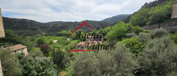 vente Maison de hameau Peyremale