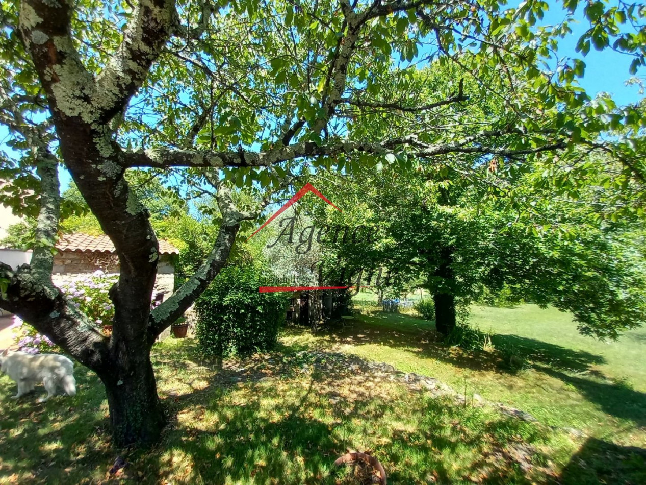 vente Maison en pierre Besseges - Photo 7