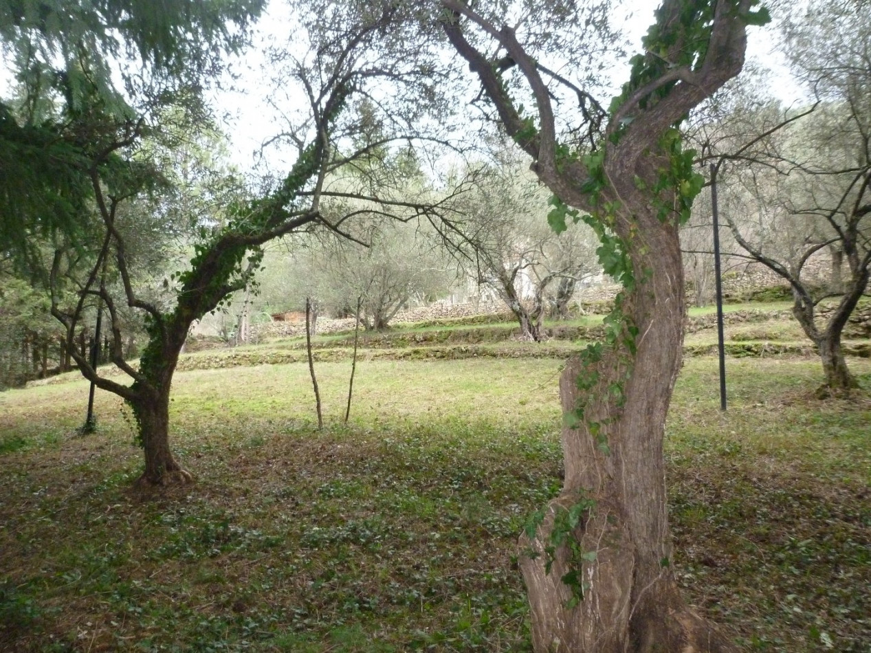 vente Maison de caractère Besseges - Photo 4