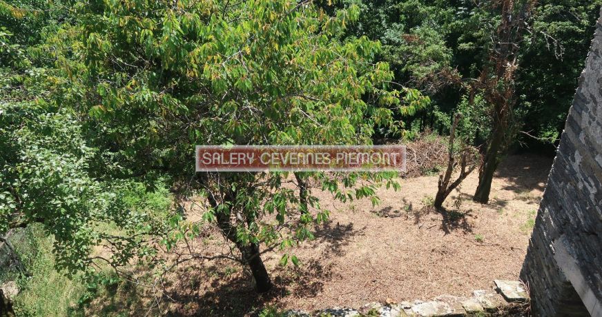 vente Propriété Cassagnas