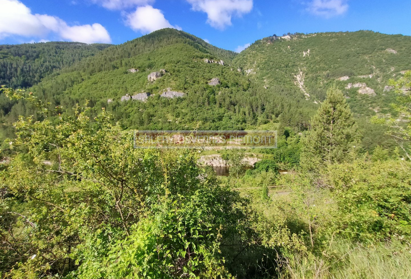 vente Terrain constructible Prades - Photo 4