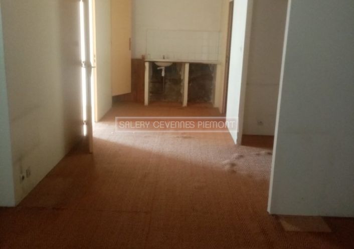 à vendre Ateliers et bureaux Le Vigan