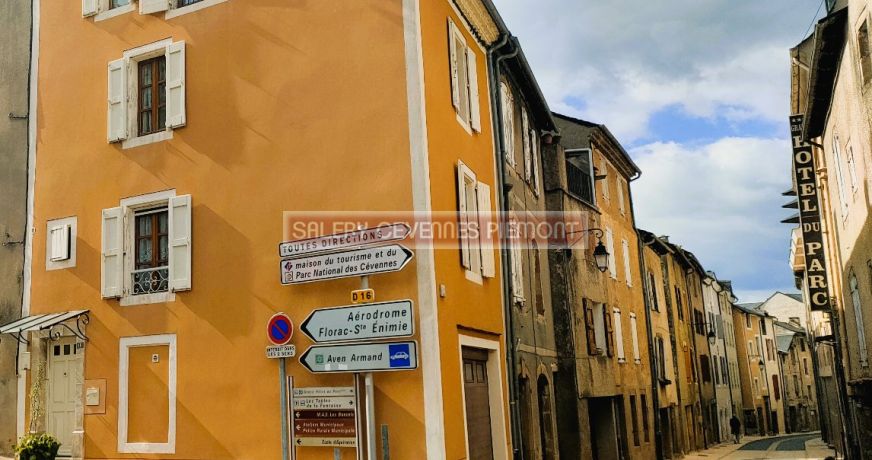 vente Maison de village Florac