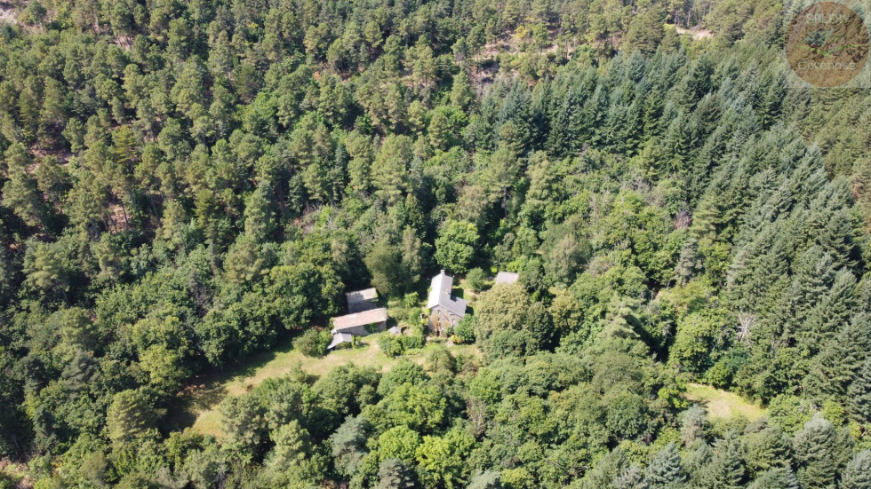 vente Mas Sainte Croix Vallee Francaise - Photo 9