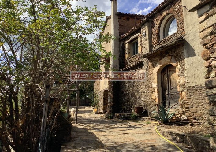 à vendre Mas Portes