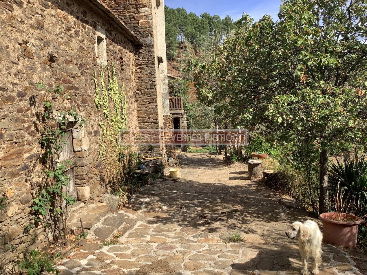 à vendre Mas Portes - Photo 4