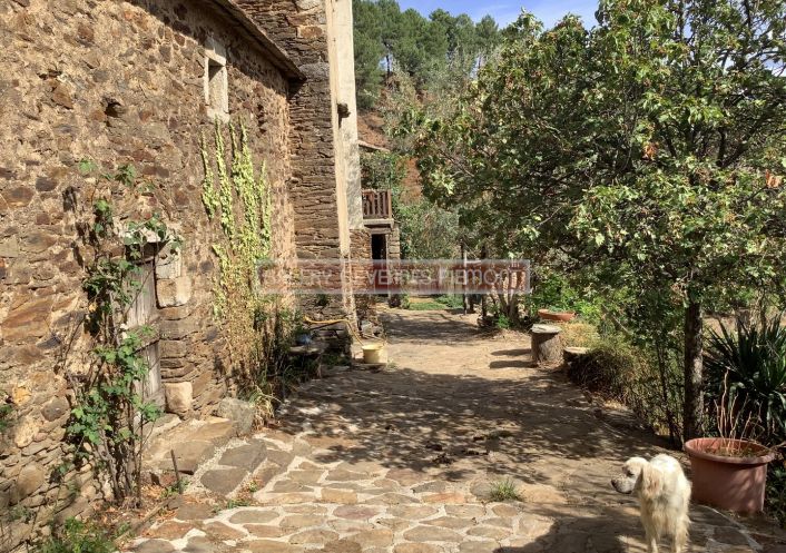 à vendre Mas Portes