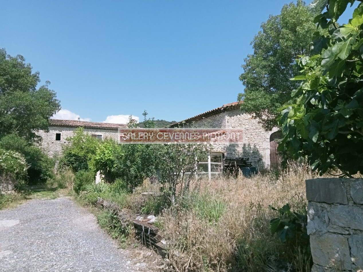 à vendre Mas Saint Hippolyte Du Fort - Photo 9
