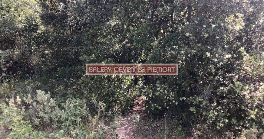 vente Terrain boisé – forêt Combas