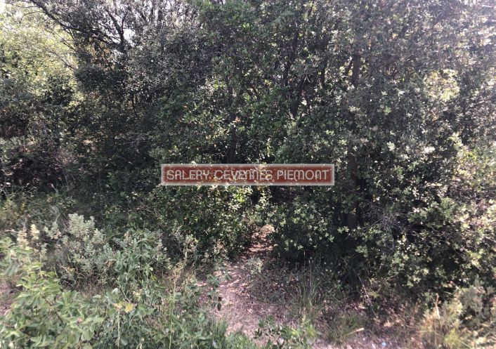 à vendre Terrain boisé – forêt Combas