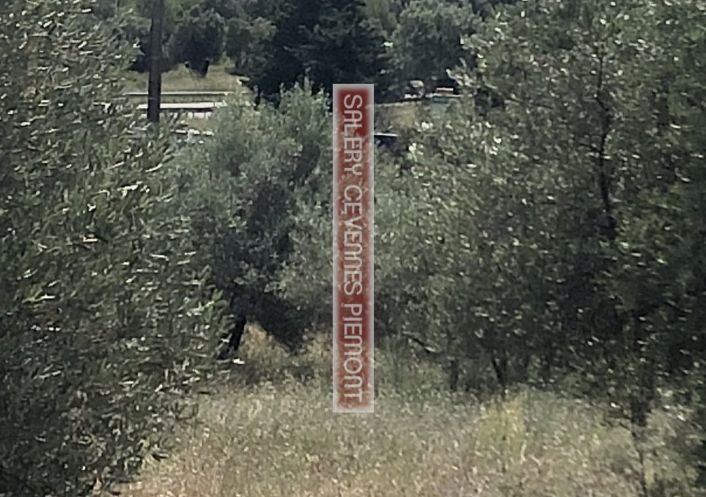 à vendre Terrain boisé – forêt Combas