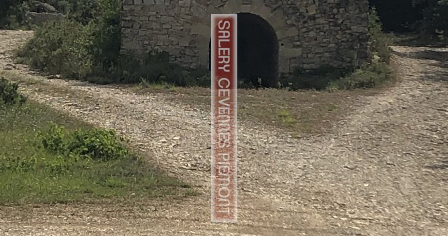 vente Terrain boisé – forêt Crespian