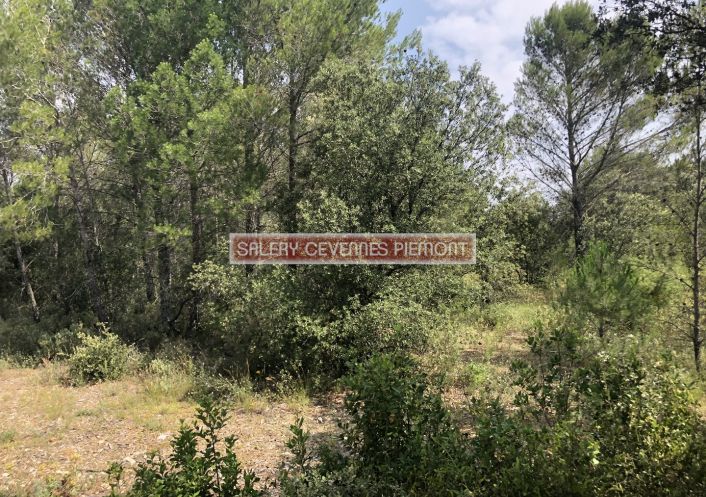 à vendre Terrain boisé – forêt Crespian