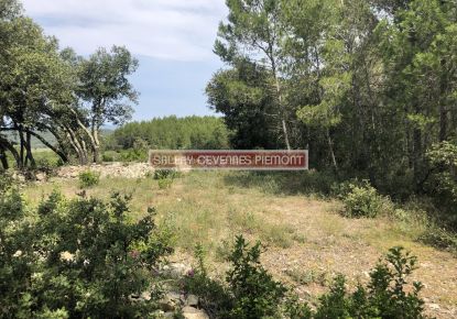 vente Terrain boisé – forêt Crespian