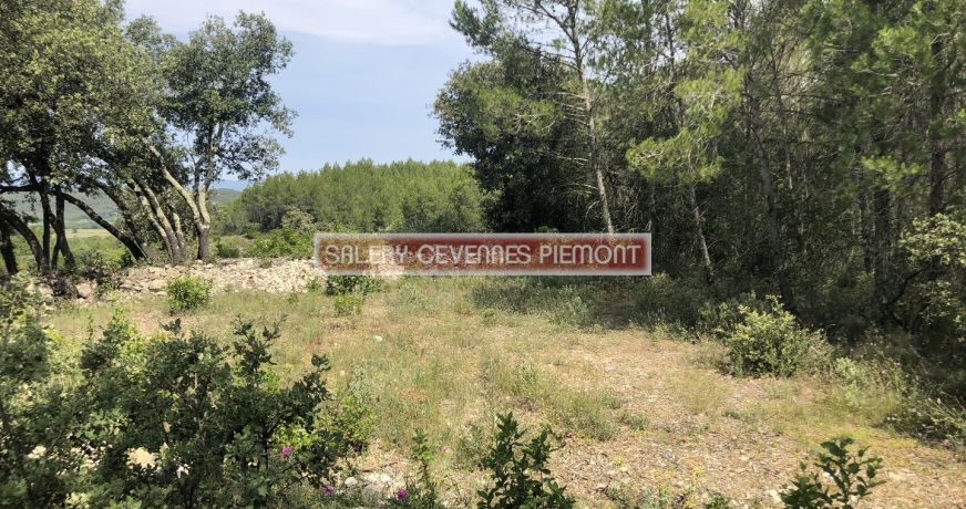 vente Terrain boisé – forêt Crespian