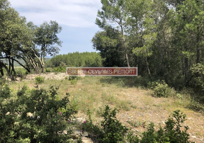 à vendre Terrain boisé – forêt Crespian