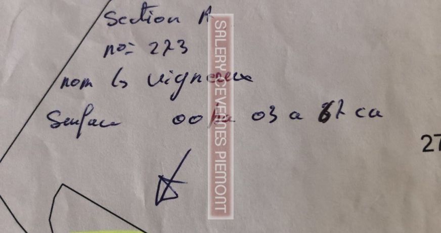 vente Terrain boisé – forêt Crespian