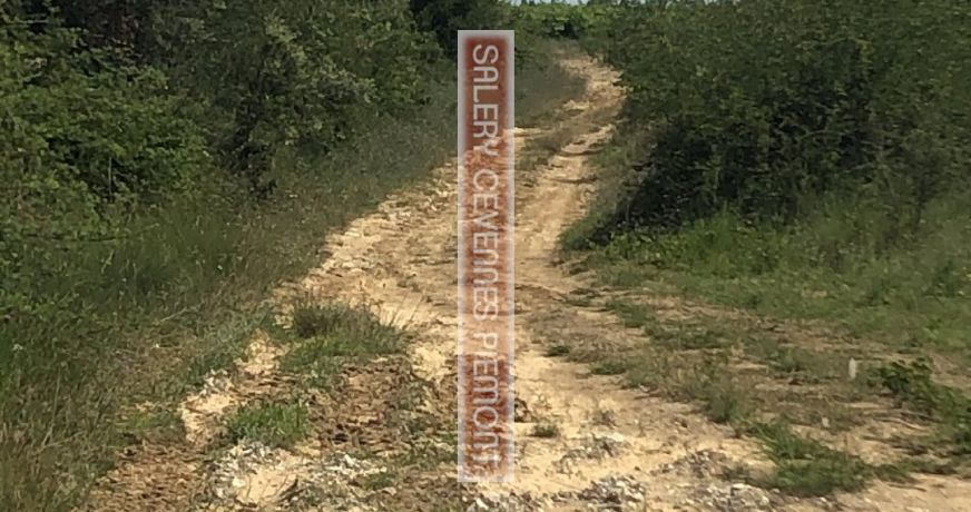 vente Terrain boisé – forêt Crespian