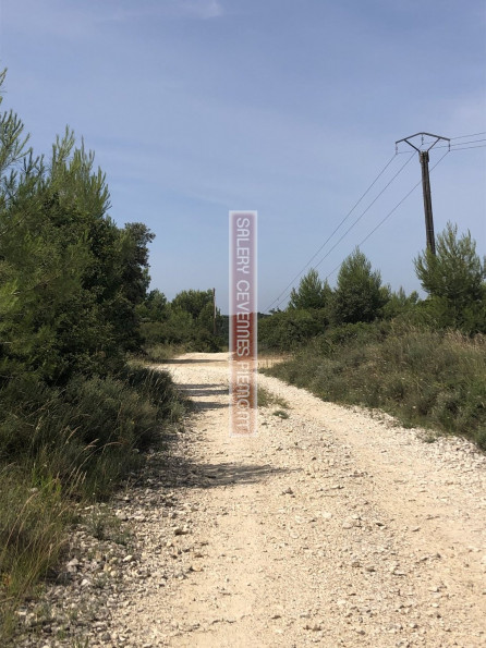 vente Terrain de loisir Vic Le Fesq - Photo 6