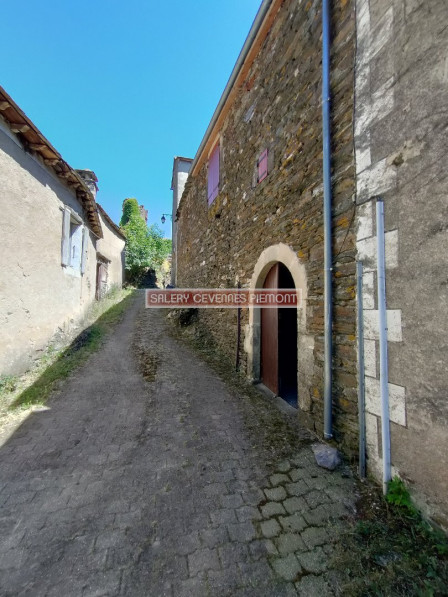 vente Maison de village Saint Julien D'arpaon